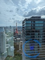 The View of Tokyo Tower