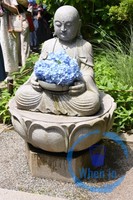 Hydrangeas at Meigetsu-in