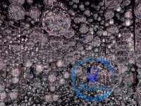 A Room in Teamlab Borderless